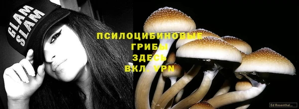 ECSTASY Корсаков