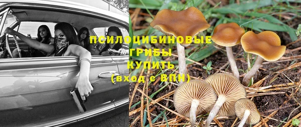 ECSTASY Корсаков