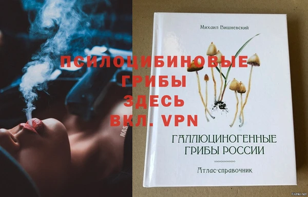 ECSTASY Корсаков