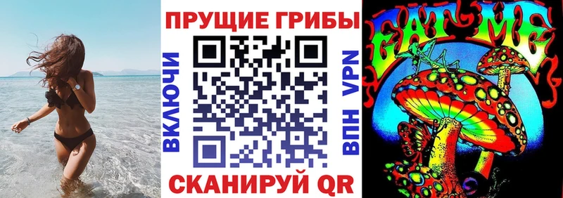 Галлюциногенные грибы GOLDEN TEACHER  Купить где  Прохладный 